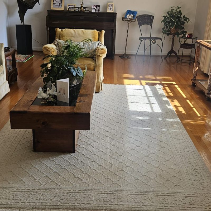 Cleaning Service in Virginia, perla Cleaning (56)